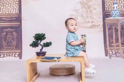 成都试管代怀可爱的企鹅宝宝